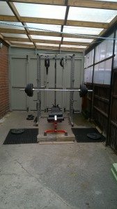 testosteronejunkie.com - free weights & machine weights