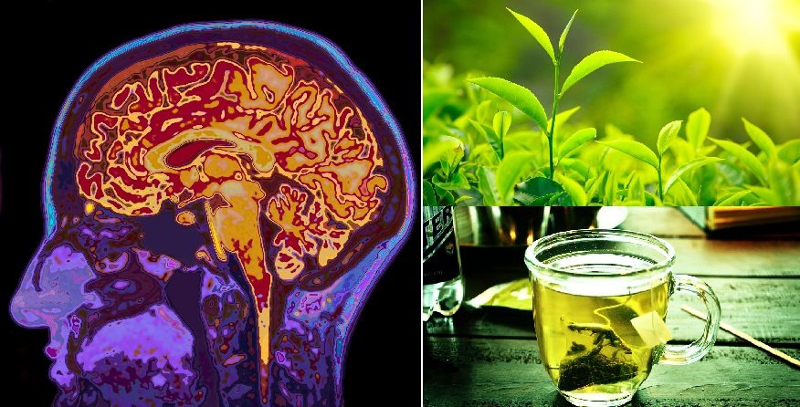 New Study: Green Tea Boosts Cognitive Ability