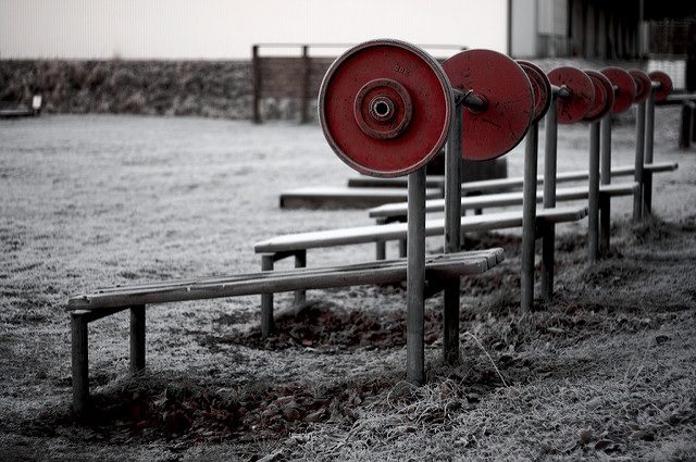 Use The Season’s To Your Advantage // Build More Muscle Naturally During Fall And Winter