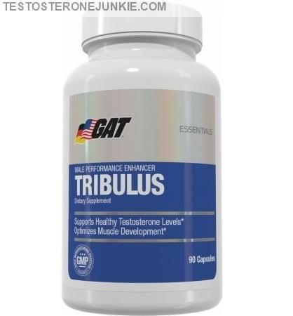 GAT Tribulus Testosterone Booster Review // A Waste Of Money?