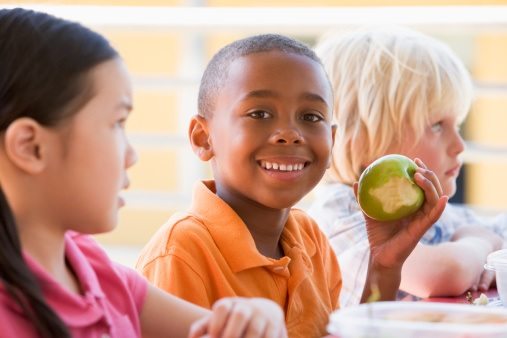 Cognitive and Social Development Related To Nutrition