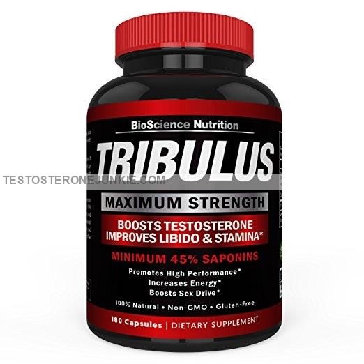 BioScience Nutrition Tribulus Maximum Strength Testosterone Booster Review // Why Do I Bother?