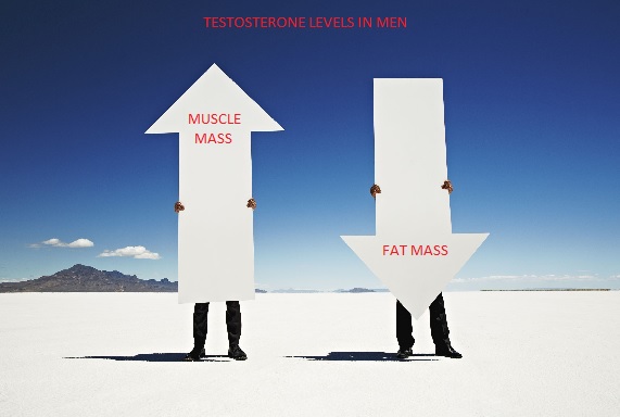 BREAKING: Increased Testosterone Levels Linked With Lean Muscle Mass
