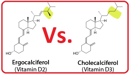The Importance of Vitamin D3 Compared to D2