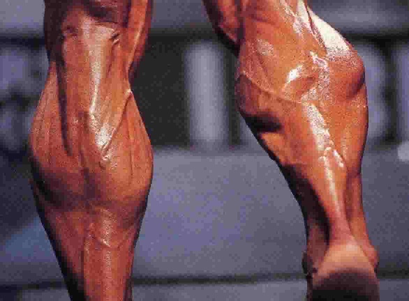 strong and big calf muscles on a bodybuilder