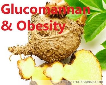 Losing Weight With Glucomannan – Can It Treat Obesity?
