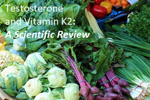 Testosterone and Vitamin K2