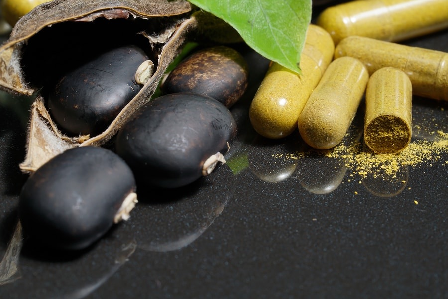 mucuna pruriens bean and supplement capsule 
