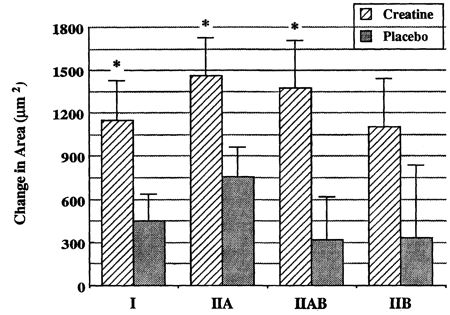 graph showing creatine effects of muscle mass versus placebo